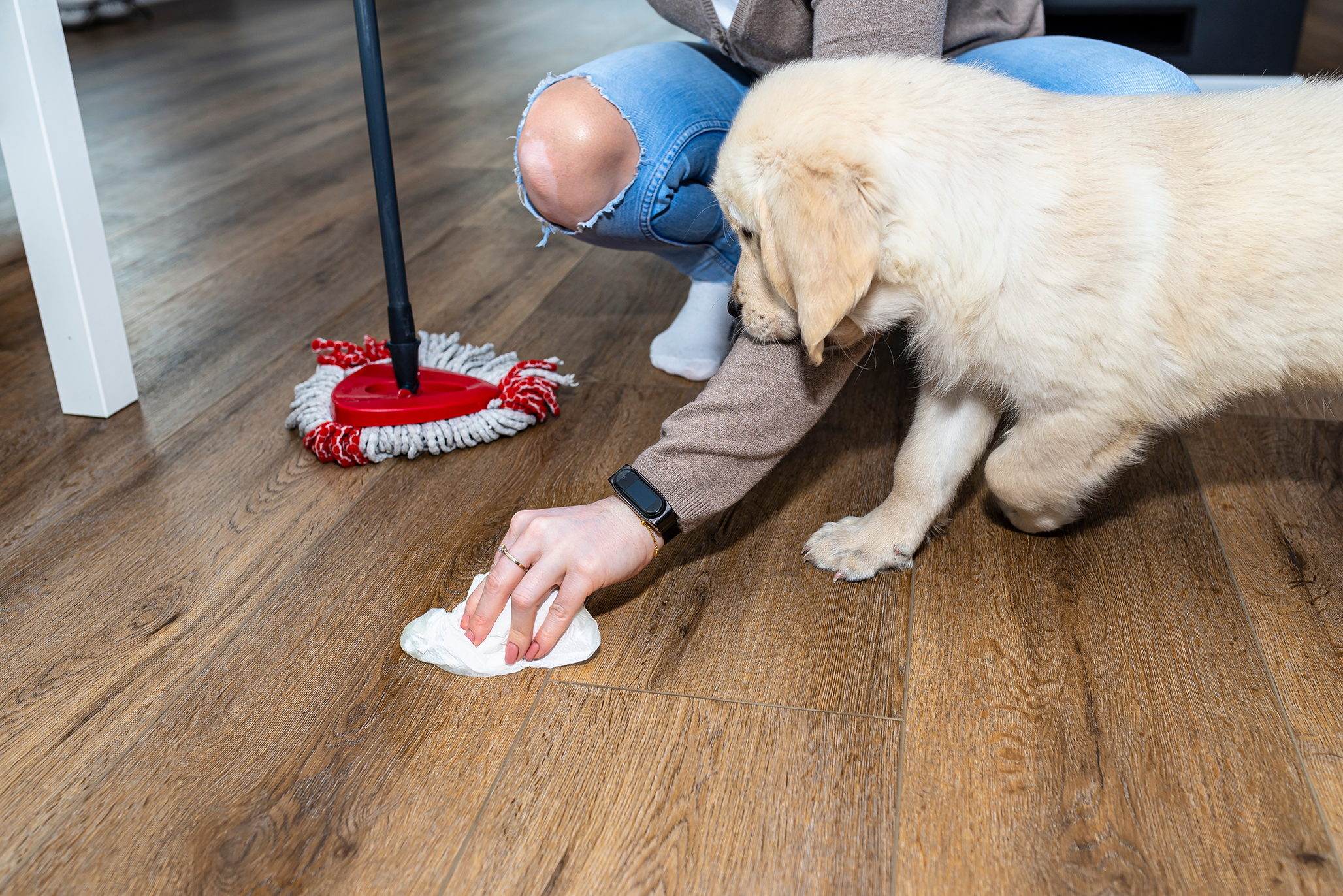 Woman cleaning up after puppy accident on vinyl floors.